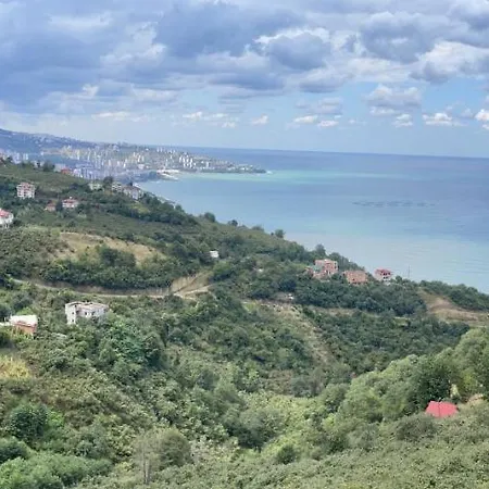Dilaversuit Trabzon